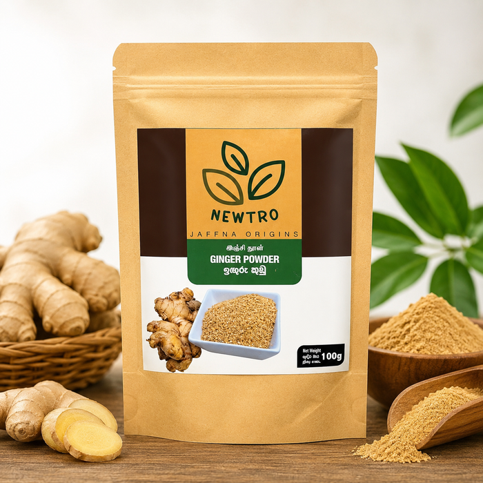 Newtro Ginger Powder 100g (3.5 oz) | Grocerylanka